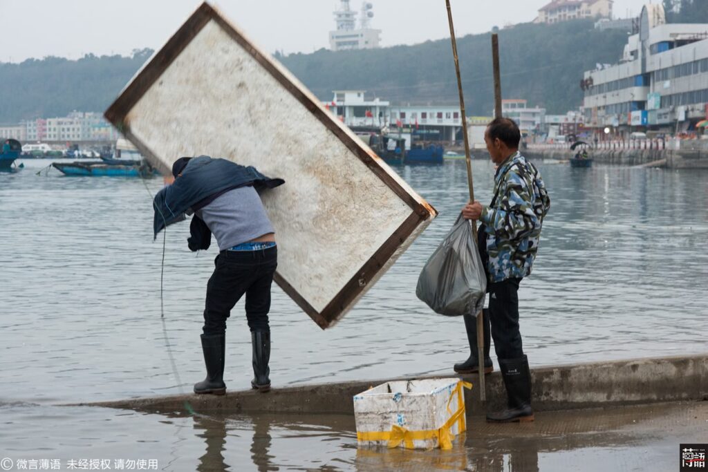 男子为离开上海用木板泡沫搭小船