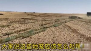官方回应鄱阳湖现巨型“地笼阵”