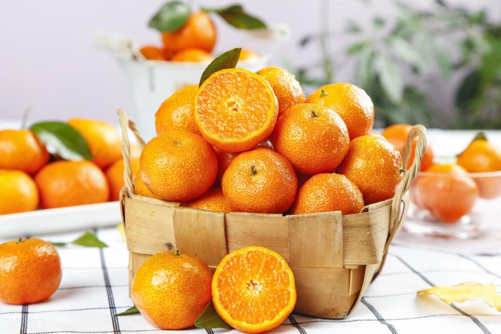 砂糖橘产地哪里最好_砂糖橘产自于哪里